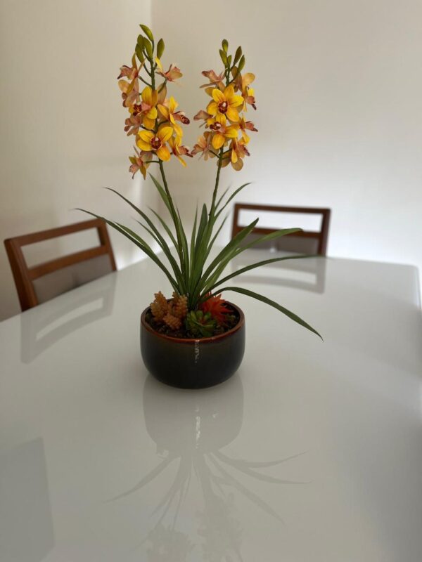 Orquídea e Suculentas - Image 2