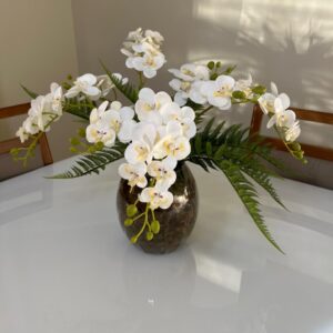 Orquídeas com Samambaia