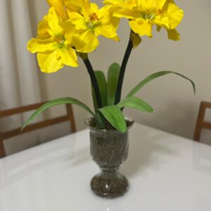 Amarílis Amarelo Vaso Vidro