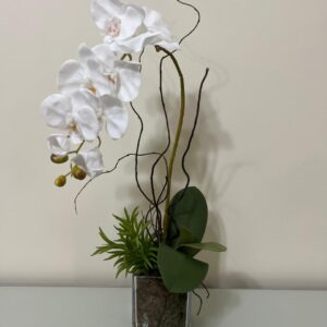Orquídea e Suculenta Vaso Vidro