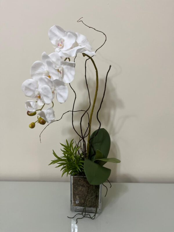 Orquídea e Suculenta Vaso Vidro