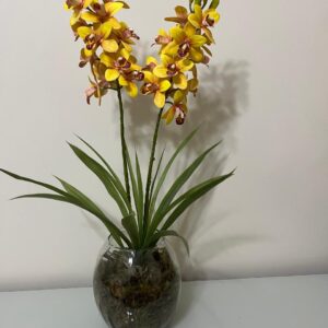 Orquídeas Amarelas Vaso Vidro