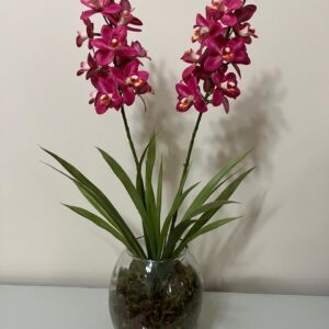 Orquídeas Rosa Vaso Vidro