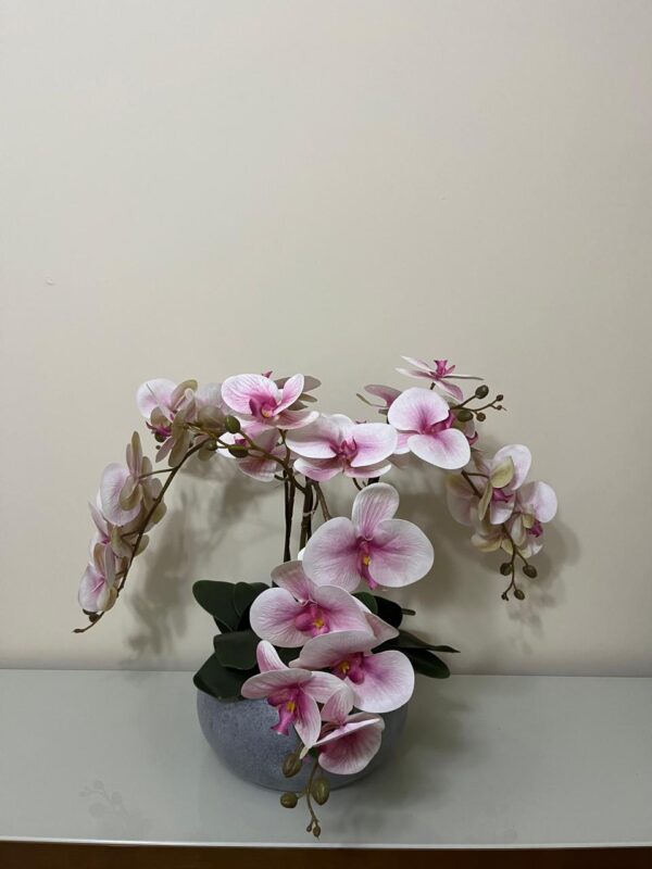 Orquídeas Rosa Vaso Cerâmica - Image 2