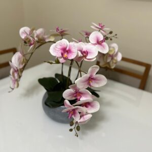 Orquídeas Rosa Vaso Cerâmica