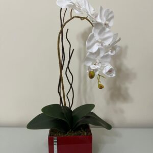 Orquídea Branca Vaso Laqueado