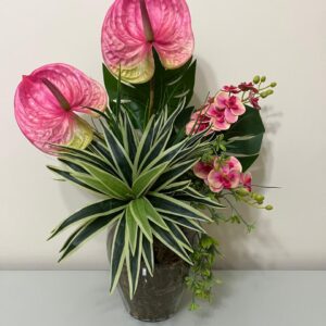 Antúrios e orquídeas cor de rosa, Costela de Adão e Dracena no vaso de vidro