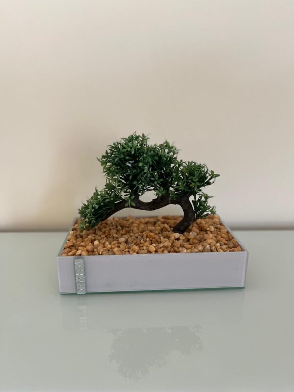 Bonsai no vaso laqueado branco