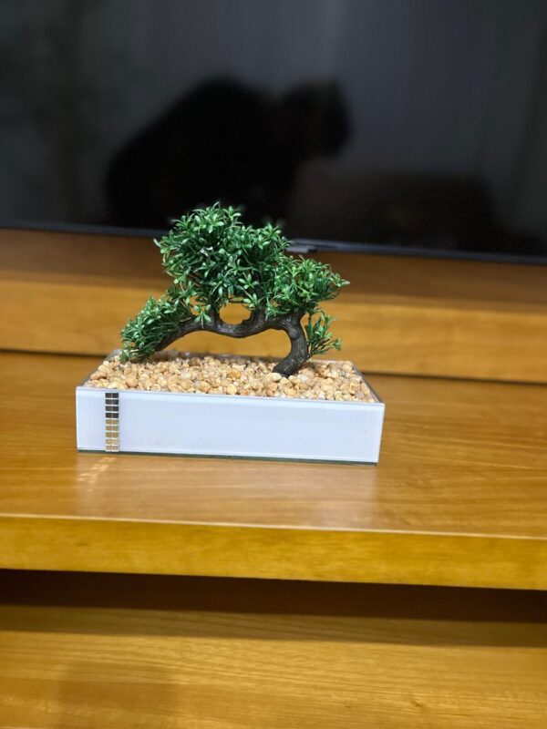 Bonsai no vaso laqueado branco - Image 2