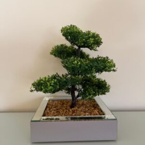 Bonsai no vaso MDF espelhado