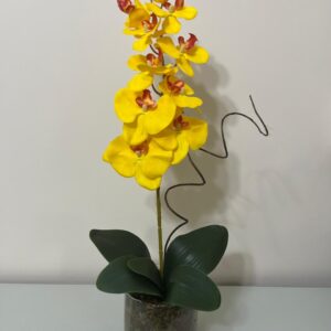 Orquídea amarela no vaso de vidro