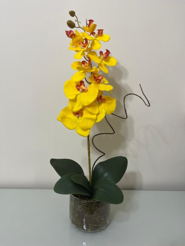 Orquídea amarela no vaso de vidro