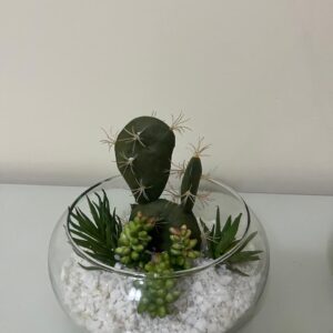 Suculentas artificiais no vaso de vidro
