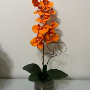 Orquídea Laranja no vaso de vidro