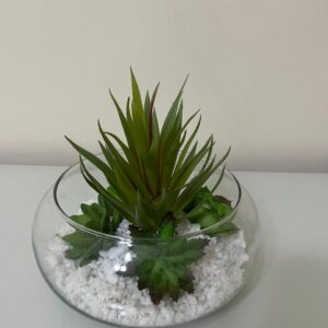 Suculentas artificiais no vaso de vidro