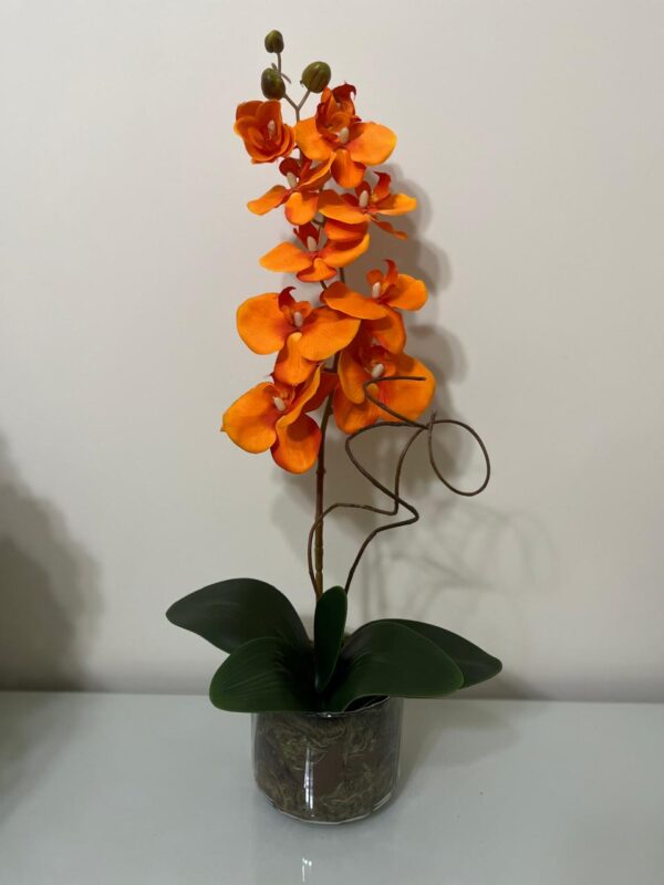 Orquídea Laranja no vaso de vidro