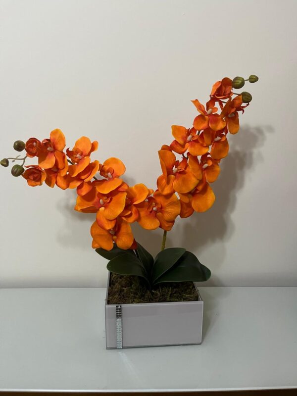 Orquídeas laranja no vaso laqueado off White
